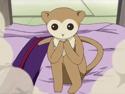 相馬律 Fruits Basket Wiki Fandom