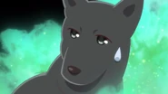 干支の干支（2019アニメ）