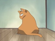 猫の形をした京（2001アニメ）