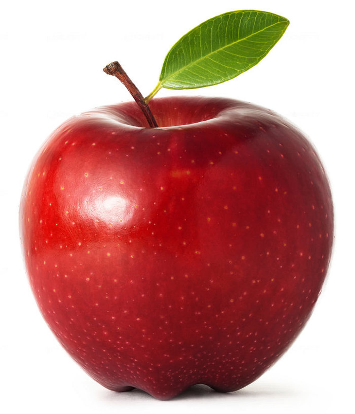 McIntosh (apple) - Wikipedia