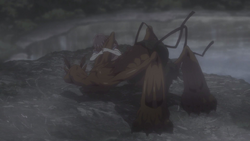 wallpapers Kyo True Form Manga Chapter 2019 episode fruits basket wiki fandom