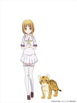 Fruits Basket (2019) - Season 1 - Blu-ray