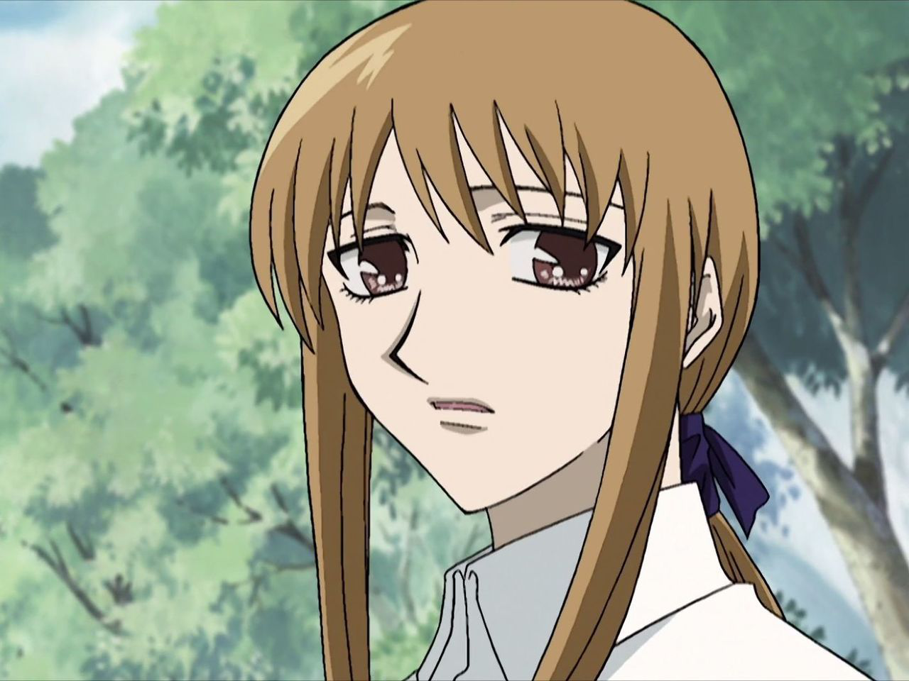 Ritsu Sohma, Wiki Fruits Basket