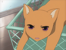 Kyo in his cat form in the 2001 version.
