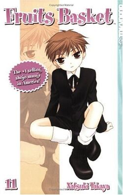 Fruits Basket, Vol. 13 by Natsuki Takaya