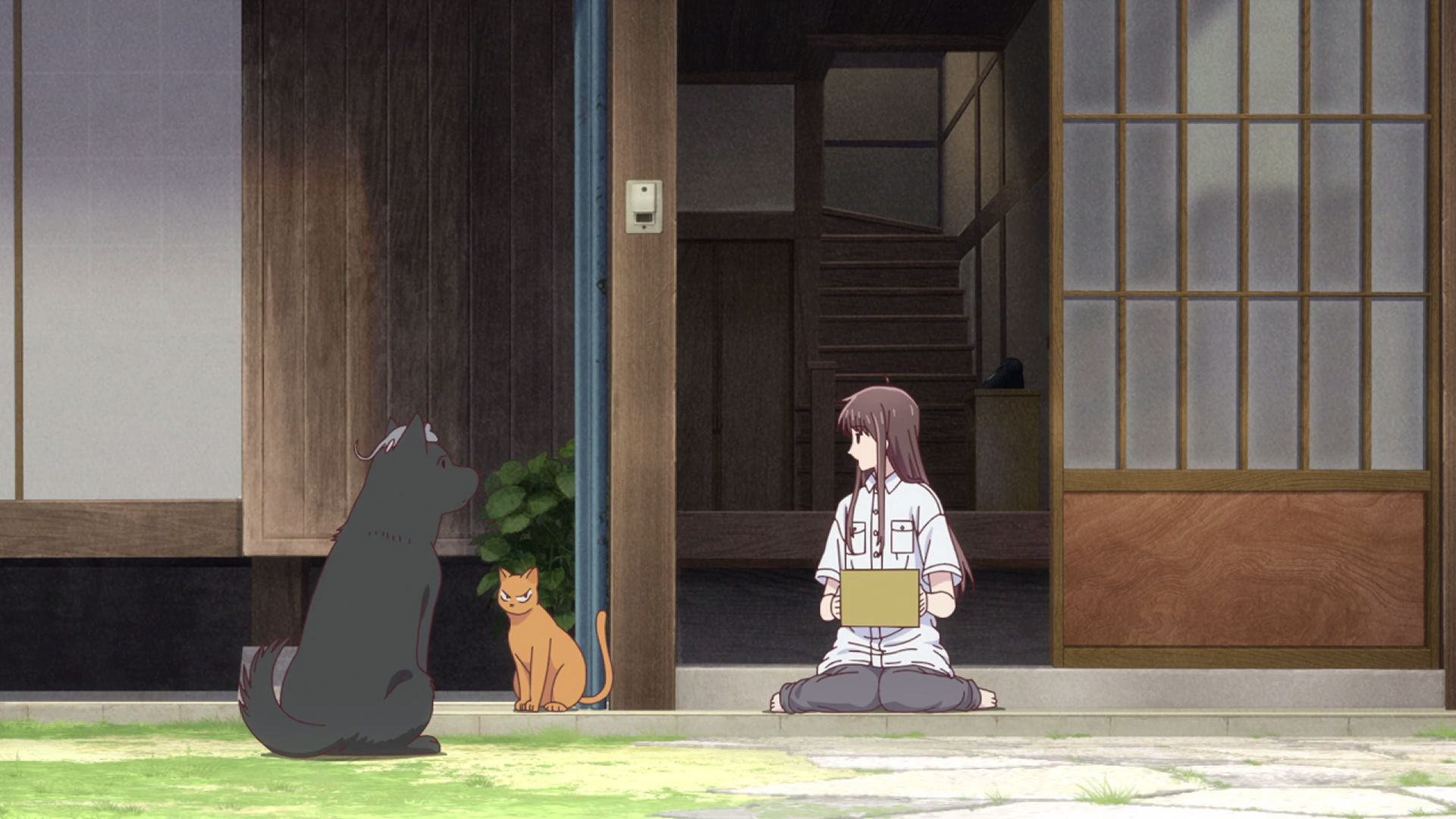 fruits basket dog