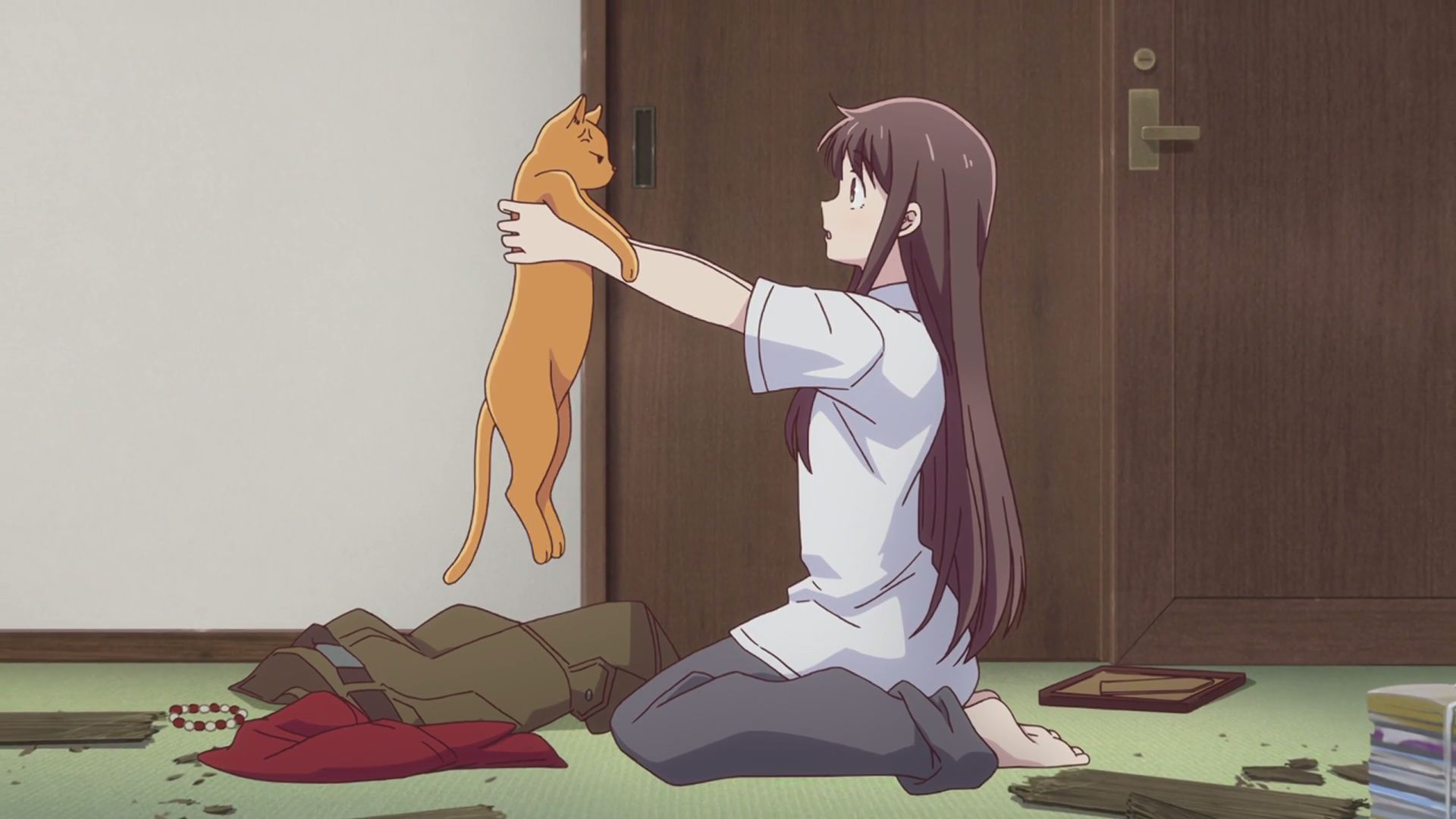 fruits basket kyo cat ears