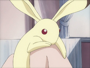 Momiji in his rabbit form in the 2001 version.