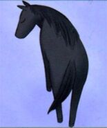 Rin Sohma horse