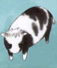 Hatsuharu Sohma/Gallery | Fruits Basket Wiki | Fandom