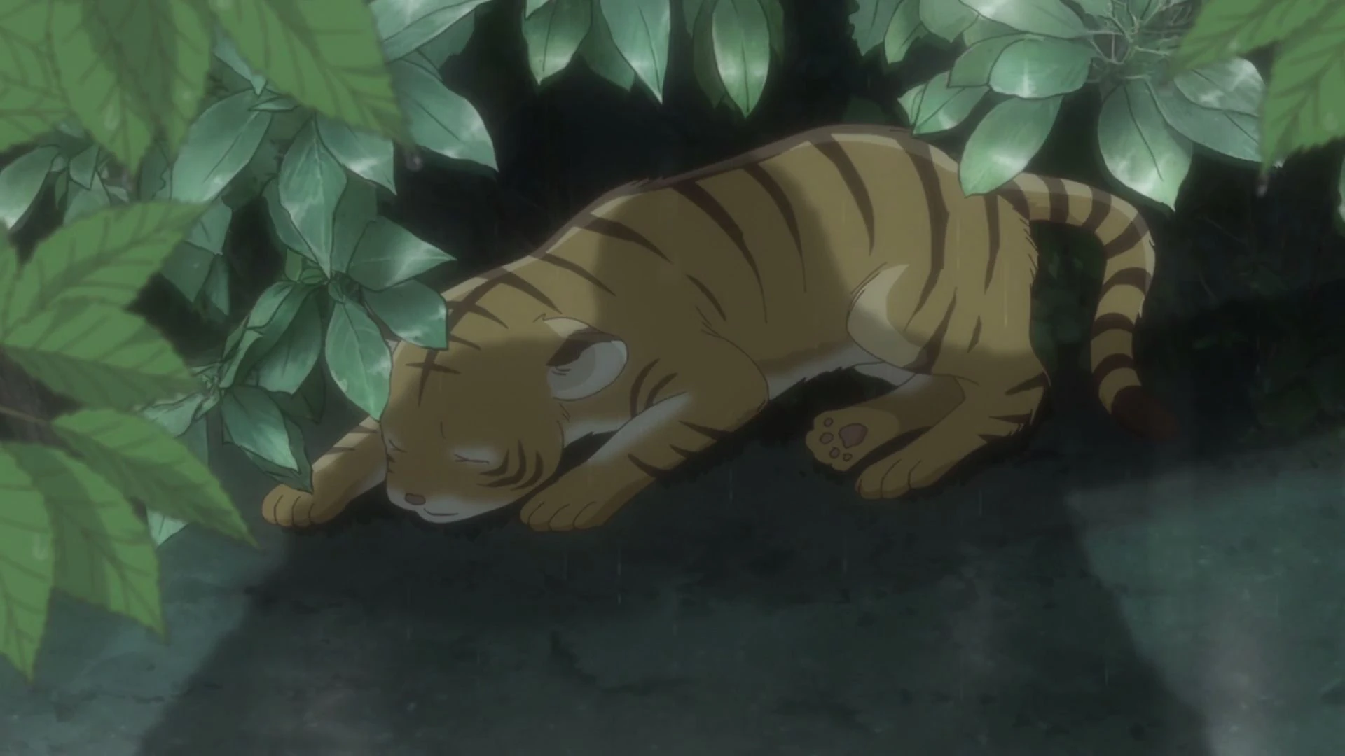 Kisa Sohma | Fruits Basket Wiki | Fandom, image size:1920x1080