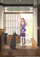 2019 anime teaser image showing (from left to right) Rat Yuki, Dog Shigure, Tohru, and Cat Kyo