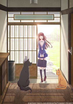 5 Crucial Lessons that Fruits Basket Teaches You About Bonds  Buy  authentic Plus exclusive items from Japan  ZenPlus