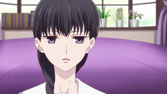 Download Fruits Basket 2019 Saki Background