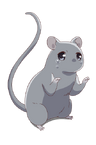 Yuki - Rat