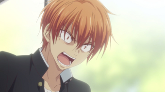 Kyo Sohma Fruits Basket Wiki Fandom