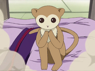 Ritsu in his monkey form in the 2001 anime.