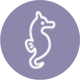 Dragon Symbol.png