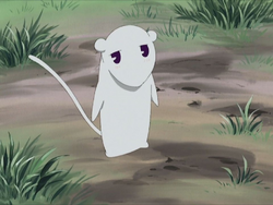 Rato, Wiki Fruits Basket