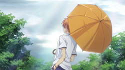 Chime Fruits Basket Wiki Fandom 5 months ago5 months ago. chime fruits basket wiki fandom