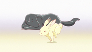 Fruits Basket ED 1 (16)