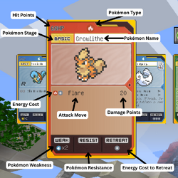 Pokémon Card Description