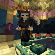 ADMIN+ DG AU
