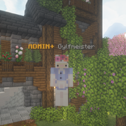 Admin+ Gylfmeister