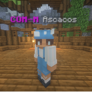 Community Manager Ascacos