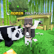 Admin HiluxPrincess