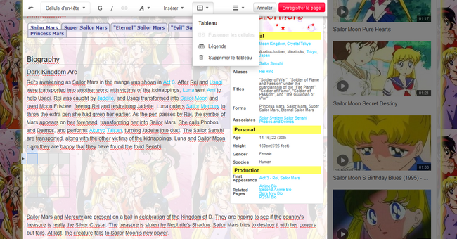 Sailor Moon Wiki - 20.03.2015 - VE - tableau