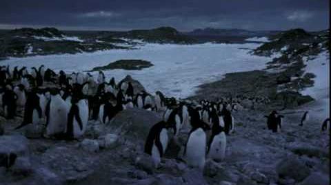 Long Live Antarctica