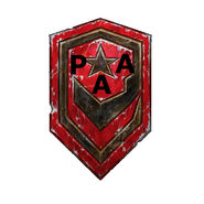 PAA01