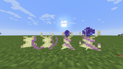 Ender`s Flower growth stages