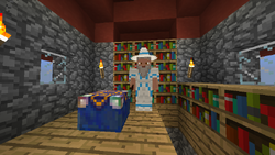 A Wizard at the top of a Wizard Tower, wearing Ice Mage Robes.