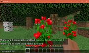 Rift Mods Stated With The Datapack List Command