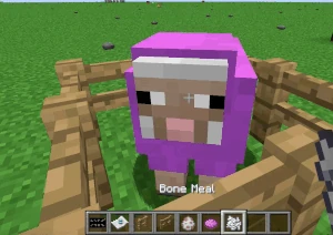 Dyeing a Sheep. Click to play.