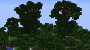 A collection of Greatwood Trees.