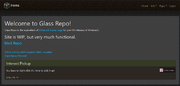 Glass Repo Homepage
