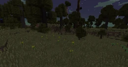 Biome Oak Savanna