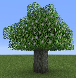 Tree Silverbell