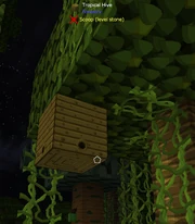 Tropical Hive located in Jungle Biome.