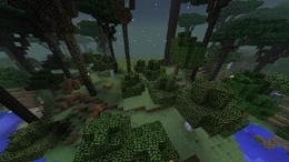 Biome Clearing Border