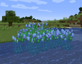 Blue pickerelweed.png