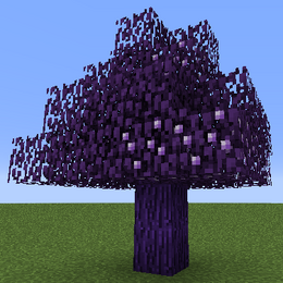 Tree Amethyst.png