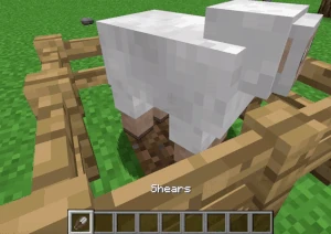 Shearing a Sheep. Click to play.