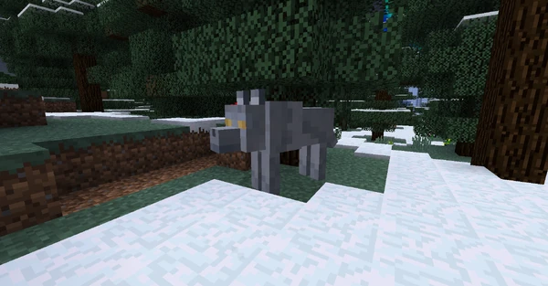 A Winter Wolf in the Snowy Forest.