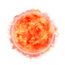 Planet sun1 300px