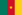 Flag of Cameroon
