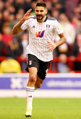 Aleksandar Mitrović